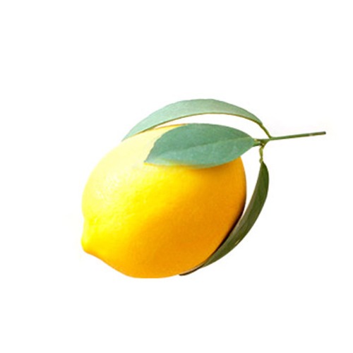 [에센셜오일]NO.08_레몬 10ml~100ml